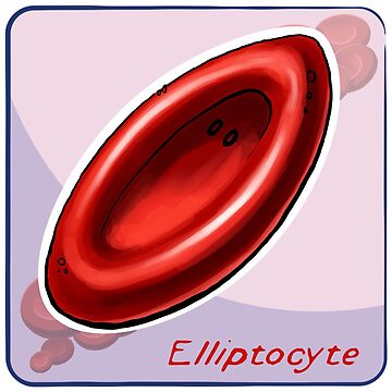 elliptocytes