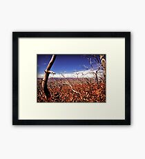 picture book fall V Framed Print