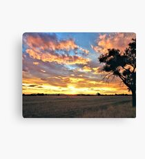 Stockinbingal Sunset # 1 Canvas Print
