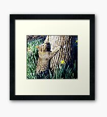 The Tree hugger Framed Print