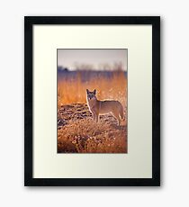 The Hunter Framed Print