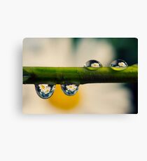 Refraction Canvas Print