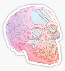 Crâne de cristal Sticker