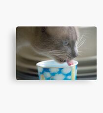 Precious Metal Print