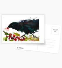 Christmas Crow Postcards
