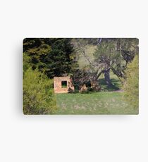 Facade Metal Print
