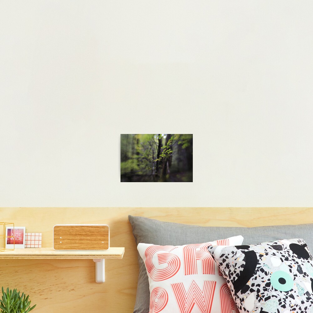 Hounslow Photographic Print