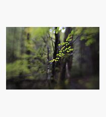 Hounslow Photographic Print