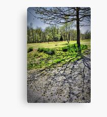 Tree Shadows Canvas Print