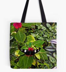 Mindo Butterfly At Rest Tote Bag
