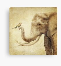 A New Friend (sepia) Canvas Print