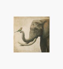 A New Friend (colour option) Art Board