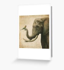 A New Friend (colour option) Greeting Card