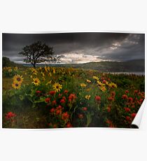 Flower Power Poster
