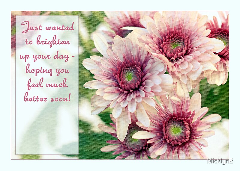 "Feel Better Soon! Pretty Daisy Card" by Micklyn2 Redbubble