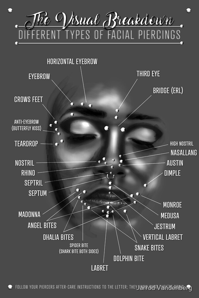 Face Piercing Chart, Black and White by Jarrod Vandenberg