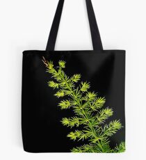 Fern, Fern, Asparagus Fern Tote Bag