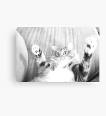 Kitten playing Canvas Print