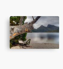 Dove Lake. Canvas Print