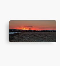Sunset on Stubble Canvas Print