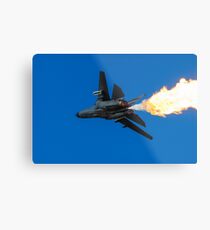 Dump and Burn Metal Print