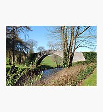 ayrshire Photographic Print
