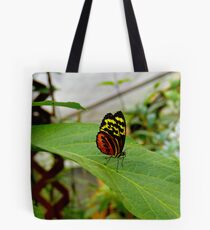 Mindo Butterfly Poses Tote Bag