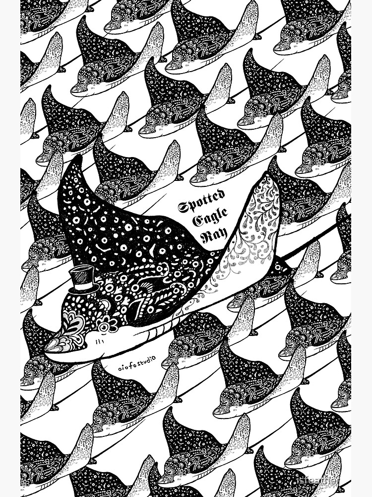 Spotted Eagle Ray I by isfeather