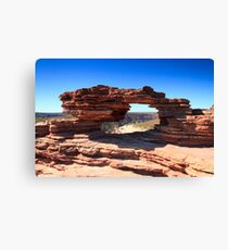 Natures Window Canvas Print