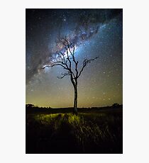 Flanagan Reserve Milky Way Photographic Print