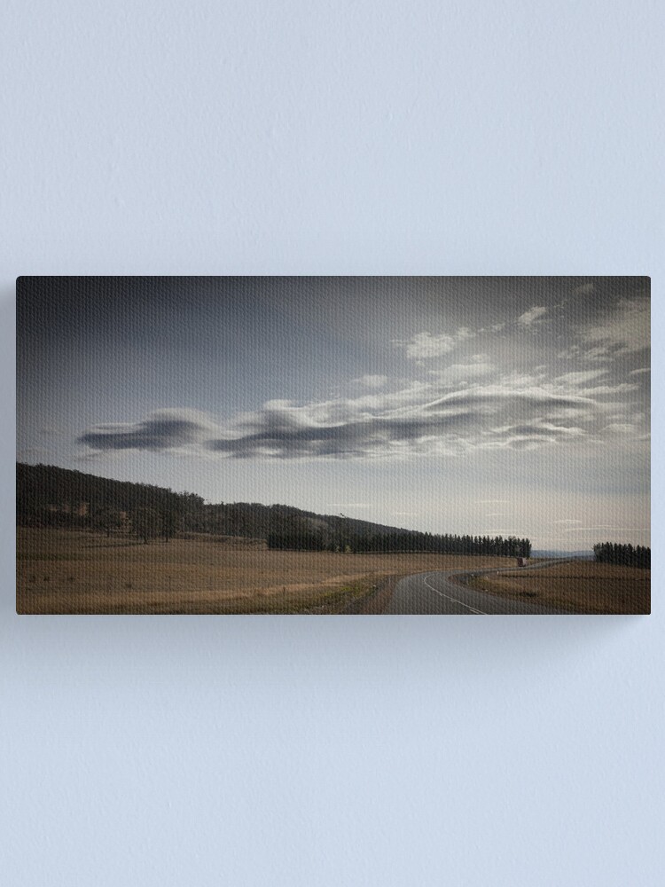 Alternate view of Midlands asperatus Canvas Print