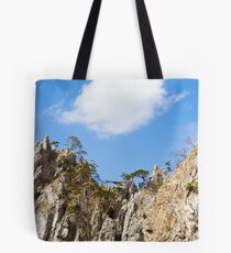 Fluffy Tote Bag