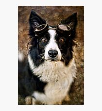 Sparkles Photographic Print