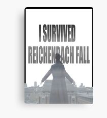 Reichenbach Fall Canvas Print