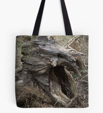 When Dinosaurs Roamed The Earth Tote Bag