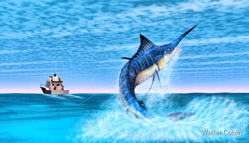 "Marlin Fishing" by Walter Colvin | Redbubble
