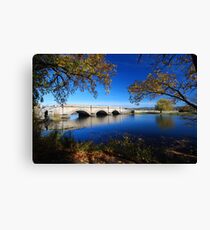 Ross Canvas Print