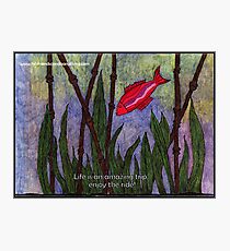 Life is an Amazing Trip Ruby Photographic Print