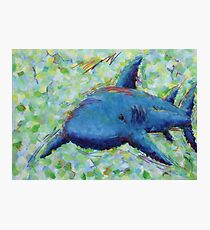 Blue shark Photographic Print