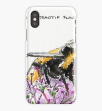 Bumble Bee browsing on astrantia flower iPhone Case