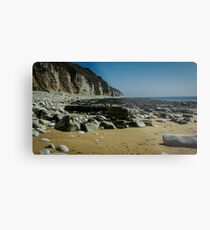 Flamborough Head at Danes Dyke Metal Print