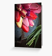 Spring Tulip Flowers Greeting Card