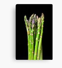 Green asparagus on black Canvas Print