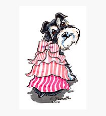 Girly Schnauzer Photographic Print