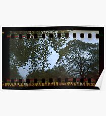 Holga Sprockets Trees and Sky Poster