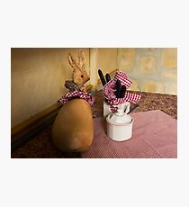 Table Bunny Photographic Print