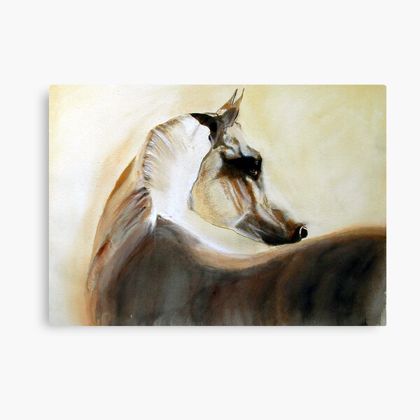 Mystical Arabian Canvas Print