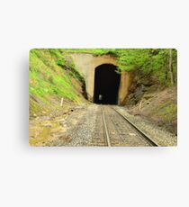 train tunnel Canvas Print