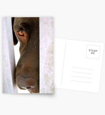 longing Postcards
