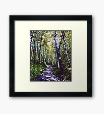 'Summer Woods (Moses Cone State Park, NC)' Framed Print